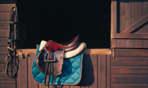 saddle and saddle pad hanging in stable with wooden walls 14 types of saddles horse riding accessories