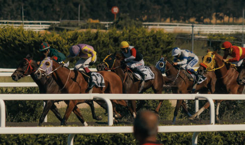 racehorses competing in a close finish during a horse race with a total of 10 horses in the background