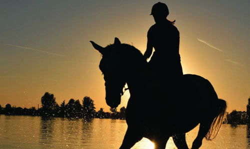 silhouette of a rider on a horse against a sunset over a lake capturing the serene beauty of nature and the number 13 in context of equestrian adventures