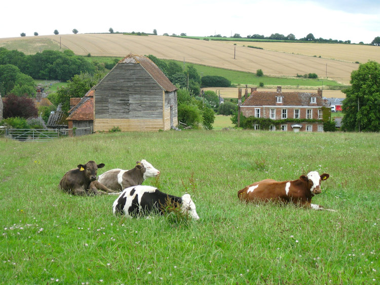 Farm Smallholding and Agricultural Rural Mortgages and Finance Broker in UK